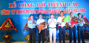 Thành lập Công ty TNHH MTV Thương mại Viglacera Hạ Long